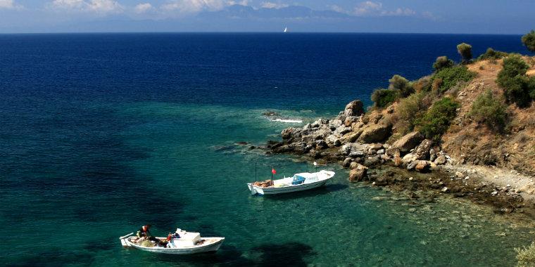 Bodrum Mazı